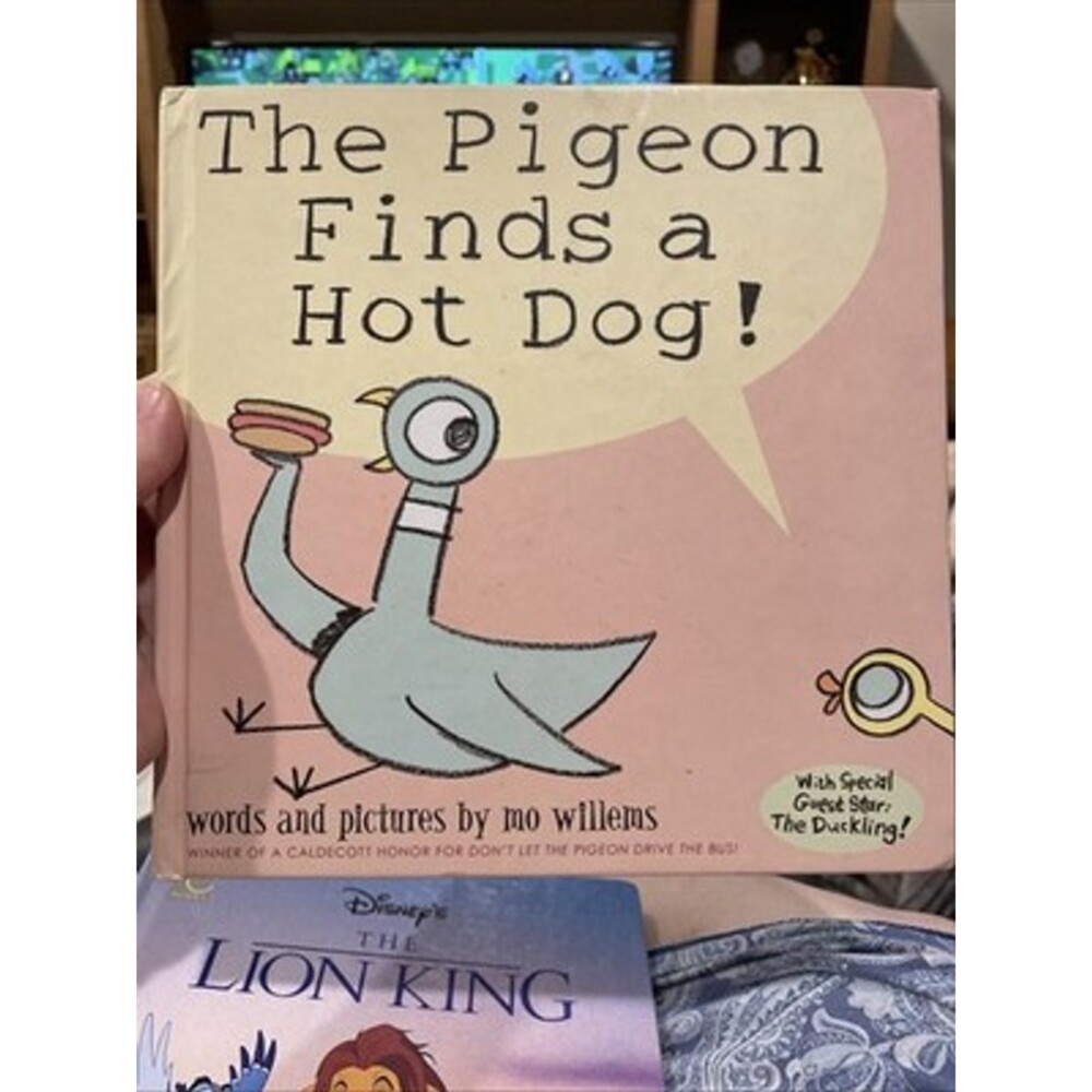 Vtg Book: Pigeon Finds a Hot Dog! by Mo Willems (2004, Hardcover) 1st Edition
